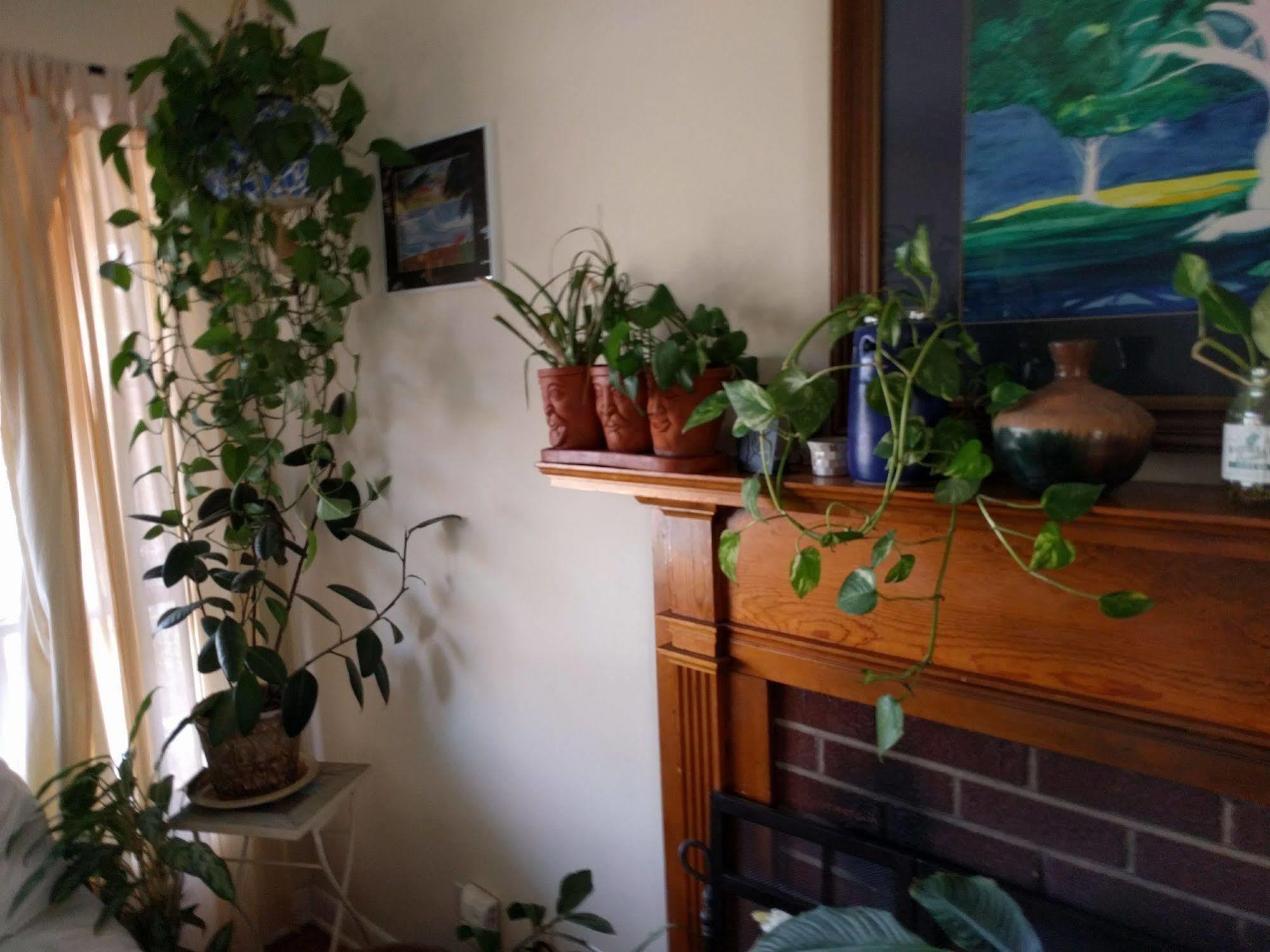 Fairhaven Guesthouse Charlottesville Buitenkant foto